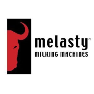 Melasty
