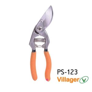 villager calidi ps123