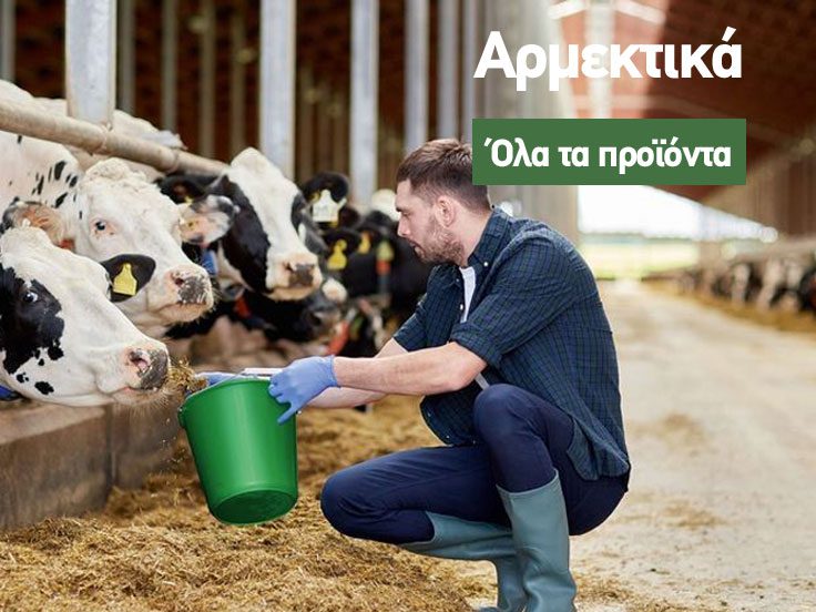 Αρμεκτικά