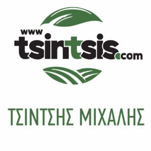 Τσίντσης Μιχάλης